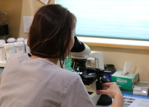 Veterinary Diagnostic Care
