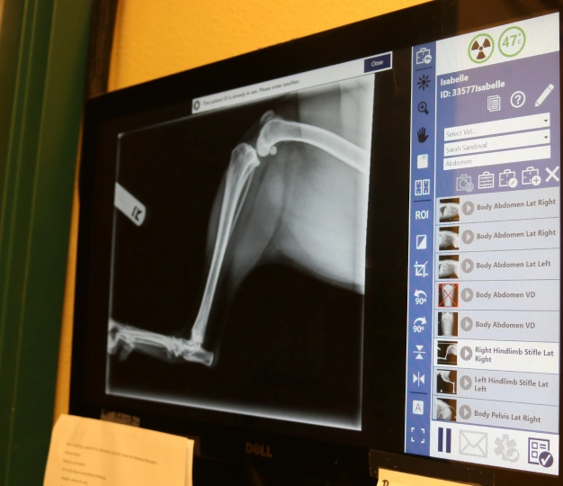 Digital Radiography