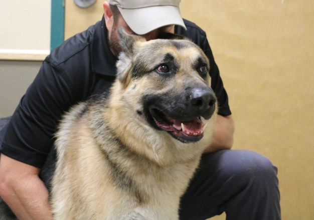 Senior Pet Care