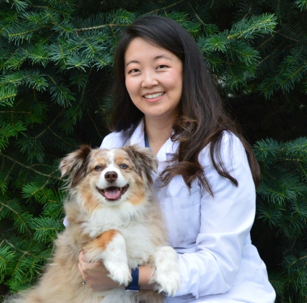 Dr. Carrie Wang