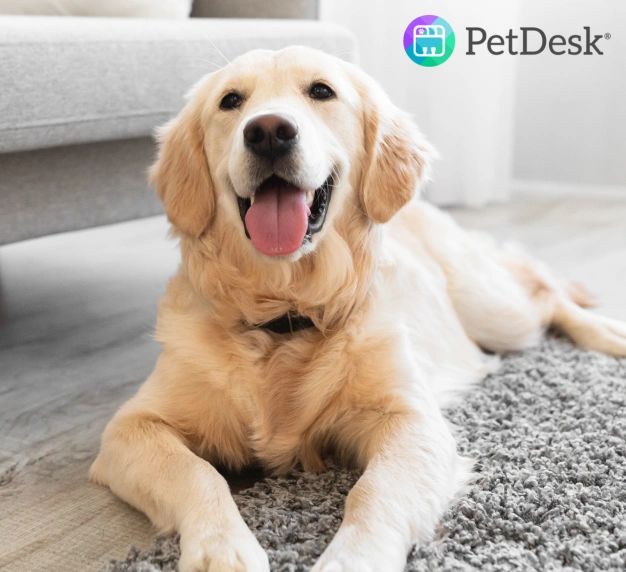 Our PetDesk App